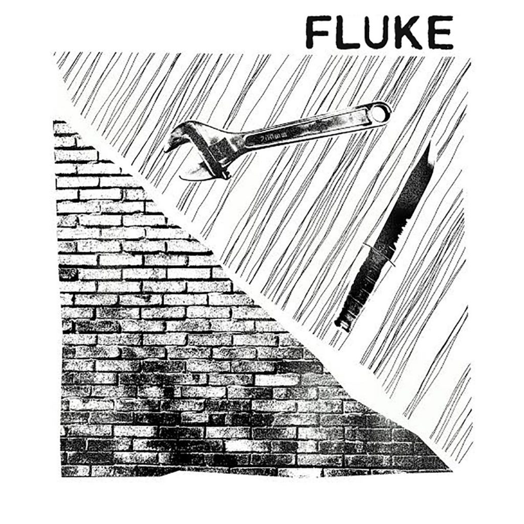 fluke