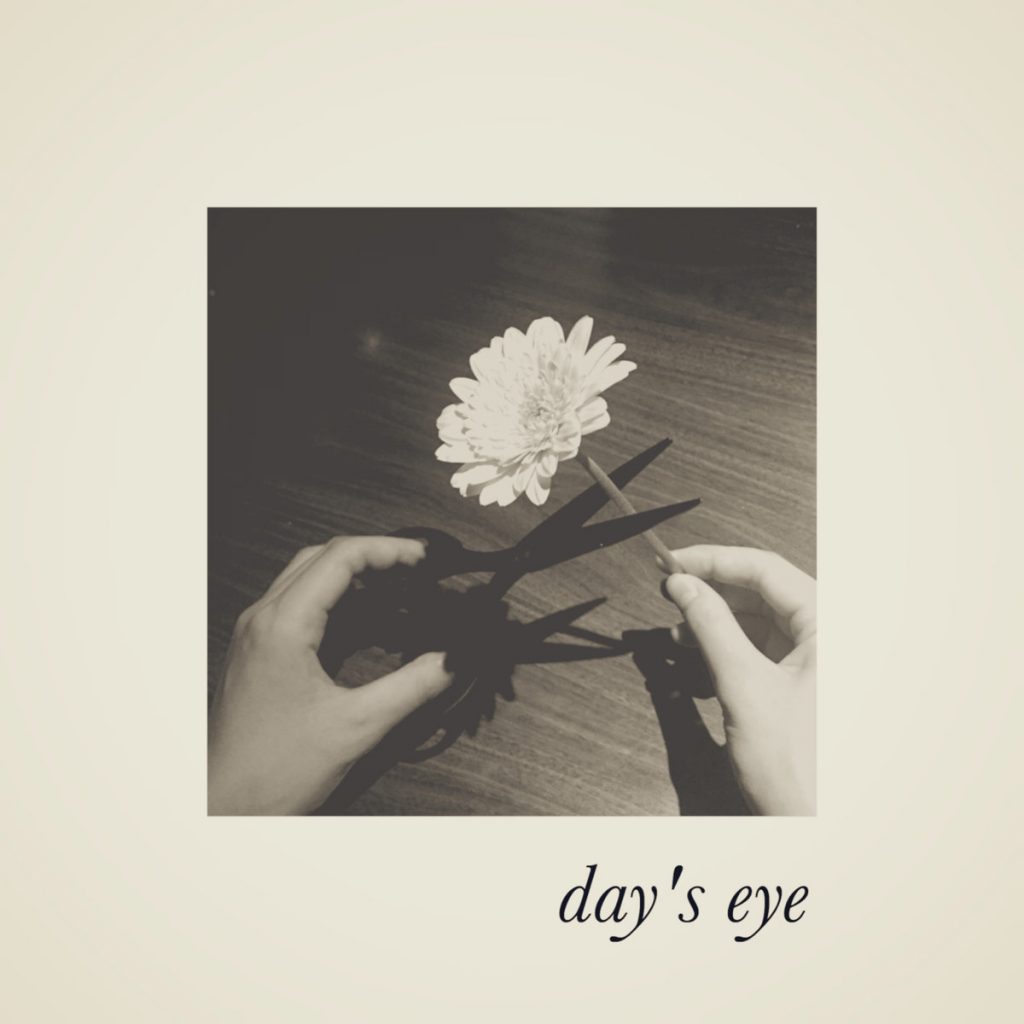 day’s eye