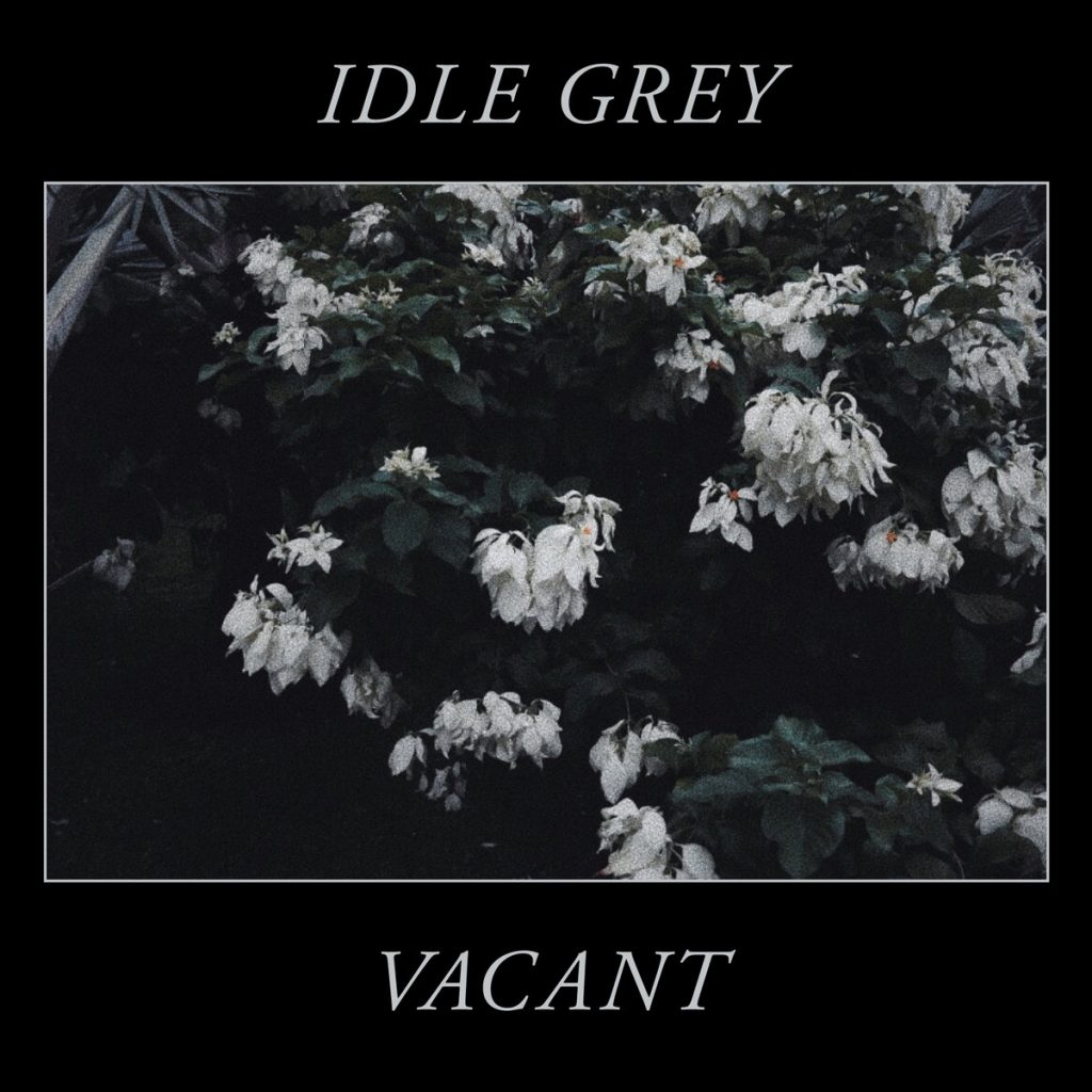 idle grey
